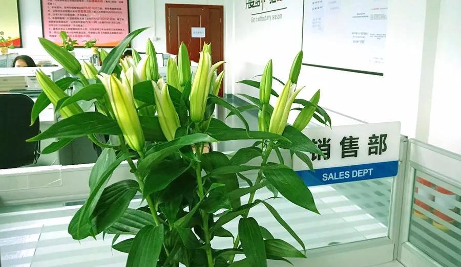 濃情七夕，最美祝福！